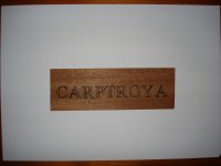 DSC03647 (Copiar).JPG