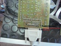 DSC03636 (Copiar).JPG