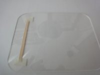 DSC03691 (Copiar).JPG