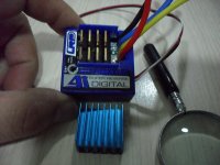 SAM_0882 (Copiar).JPG