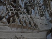 DSC01126 (Small).JPG