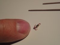 DSC03789 (Copiar).JPG