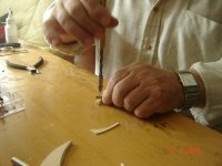 DSC03698 [1600x1200].JPG