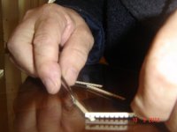 DSC03714 [1600x1200].JPG