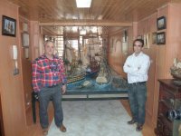 L1000653 [800x600].jpg