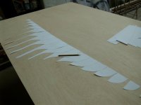 DSCI0064 (Copiar).JPG