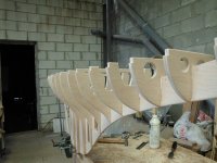 DSCI0067 (Copiar).JPG