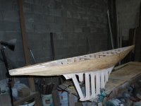 DSCI0085 (Copiar).JPG