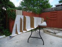 DSC00145 (Copiar).JPG