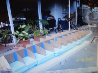 DSC01066 (Copiar).JPG