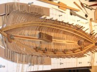 DSC08466 [800x600].JPG