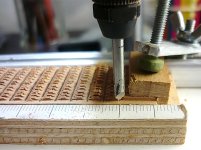 P1050424 (800x600).jpg