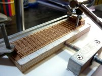 P1050423 (800x600).jpg