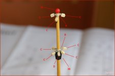 DSC00215 (Copiar).JPG