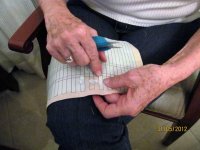 LA COURONNE paso a paso 286 (1).jpg