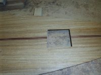 DSCI0007 (Copiar).JPG