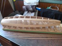 Copia de P1000086.JPG