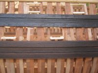 IMG_5448 [640x480].JPG