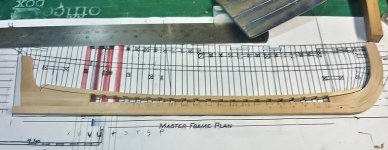 P1050475 (800x600).jpg