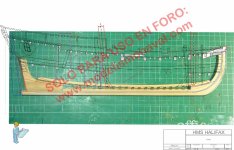 Planos HMS - Halifax_alzado_revisión (800x515).jpg