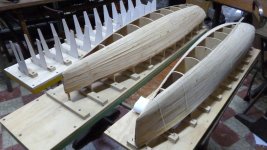 Copia de P1000887.JPG