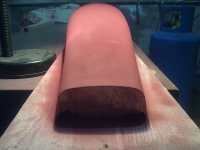 Detección de errores 02.png