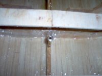 Bocina del timón.jpg