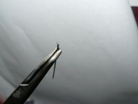 P1000400 [1024x768].JPG