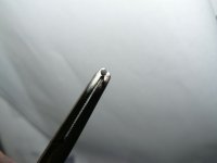 P1000399 [1024x768].JPG