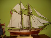 DSC04574 (Copiar).JPG