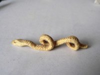 Serpiente-tallada.jpg