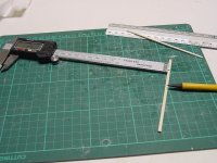 Miussconstitution 412.JPG