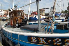 Rachel Douglas Cubierta.jpg