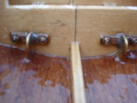 DSC03328 (Copiar).JPG