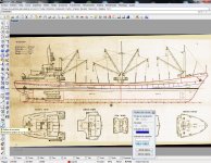 8_Arrufo alisado.jpg