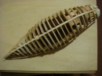 chapuza en la alineacion de falsa popa.jpg