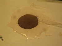 IMG_6843 [640x480].JPG