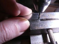 PELAYOP1000495 [800x600].JPG