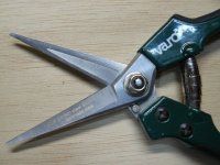 P1000543 [640x480].JPG