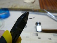 P1000555 [640x480].JPG