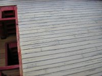 2007-08-20 CubieNueva 012_02.jpg