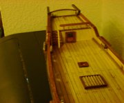 albatros internet 4.jpg