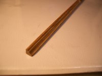 CIMG5309 moldura.JPG