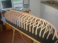 DSC05033 (Copiar).JPG