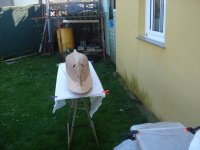 DSC05125 (Copiar).JPG