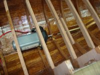 DSC05134 (Copiar).JPG