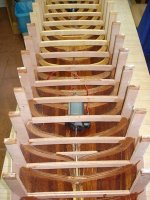 DSC05136 (Copiar).JPG