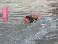 IMG_6924.jpg IMG_6924.jpg