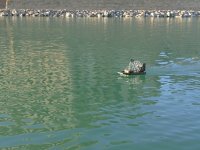 Hidrodeslizador Regajo 073.JPG