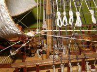 P1010137 (Copiar).JPG